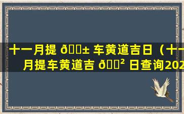 十一月提 🐱 车黄道吉日（十一月提车黄道吉 🌲 日查询2023年份27号时间）